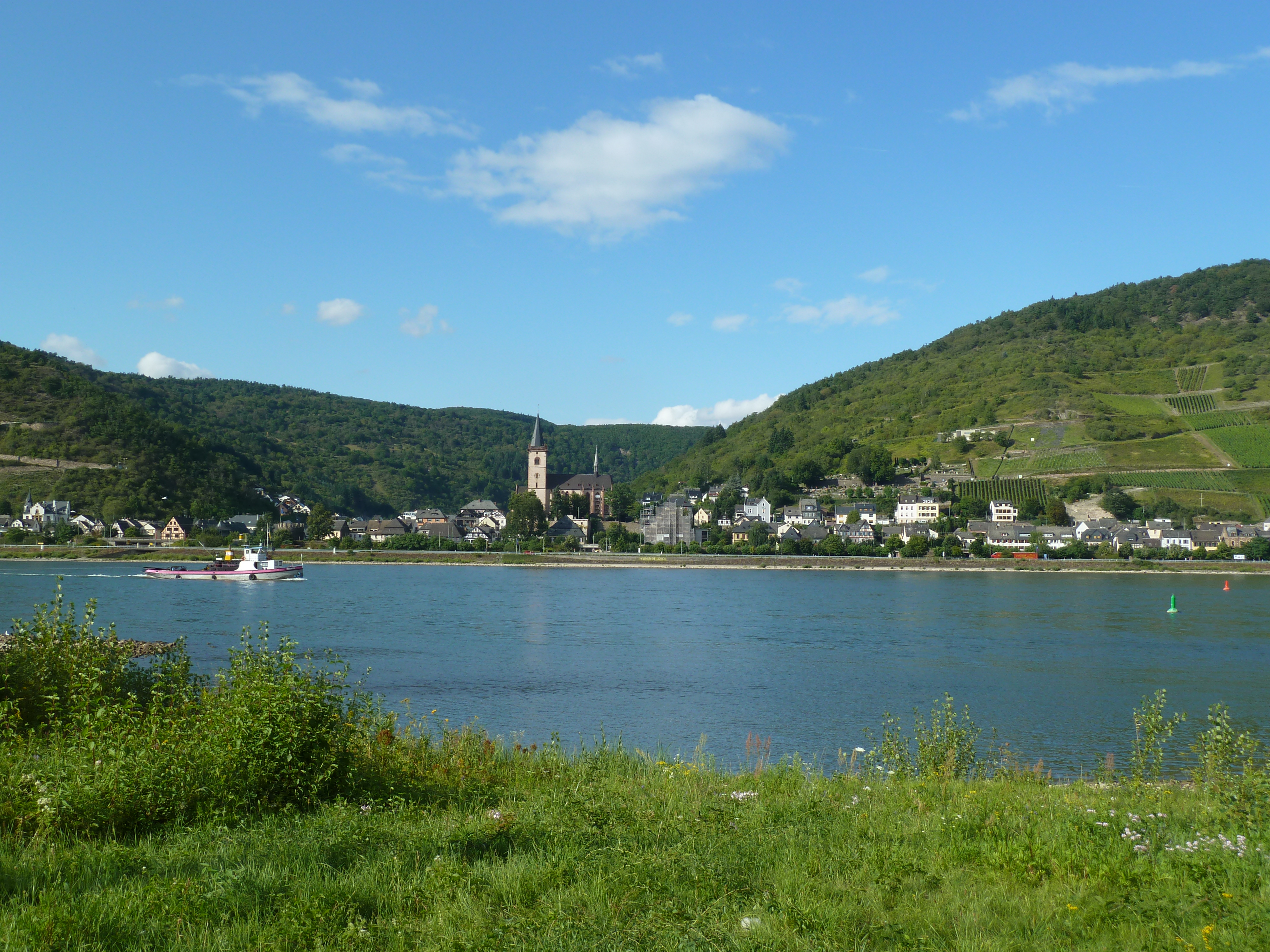 View over the Rhine_7827144918_o